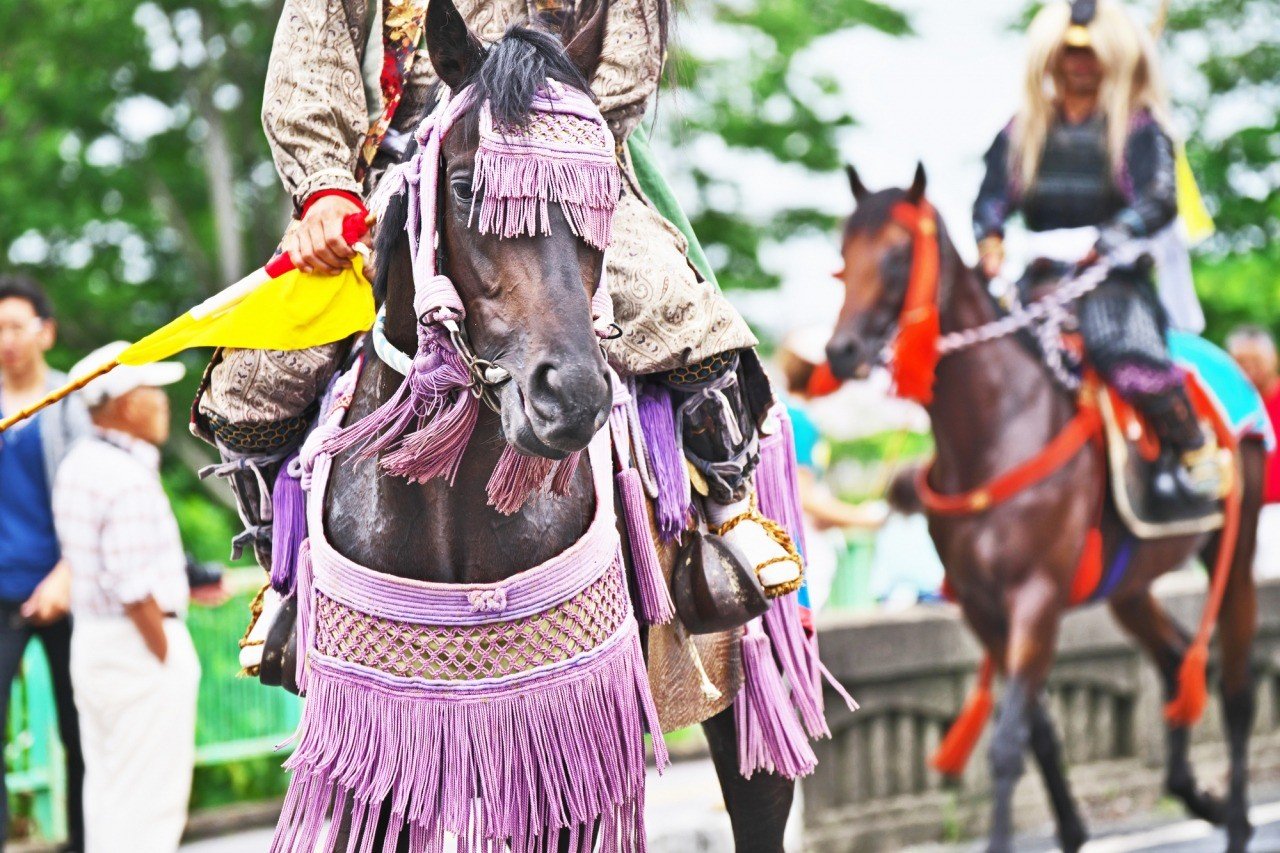 🐎 소마노마오이 행렬 (소마노마오이 오교레쓰) 이미지 6